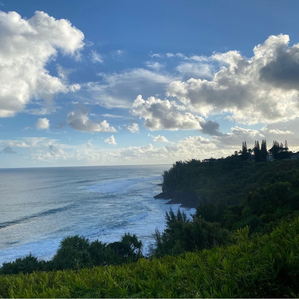 Meet your Posher, Priscilla